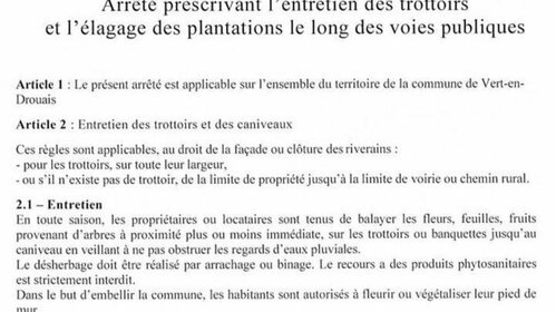 Arrêté municipal  prescrivant l'entretien des trottoirs et l'élagage  le long des voies de la commune